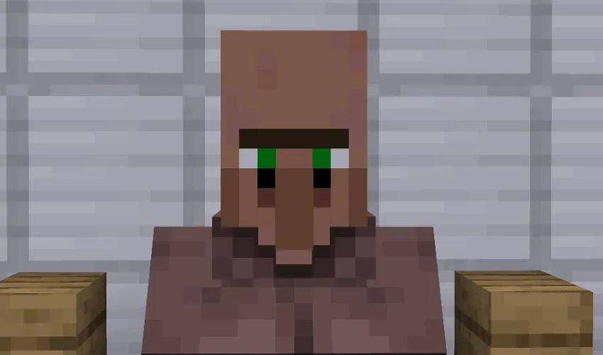 Villager News Host, Текстуры, Minecraft