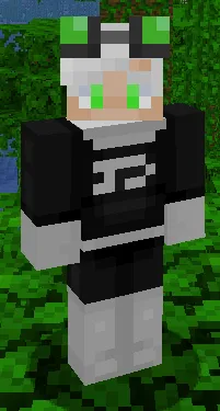 Phantom Accessories, Моды, Minecraft