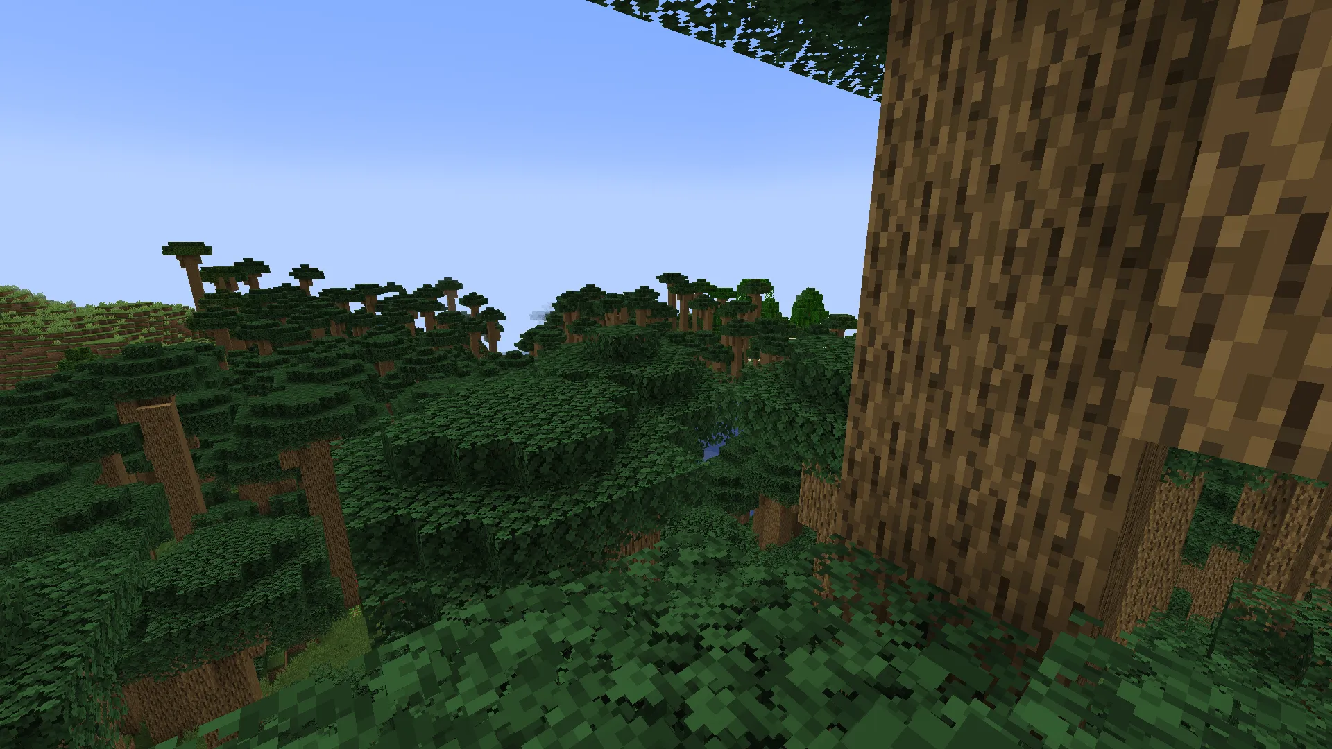 Biome Fest, Моды, Minecraft