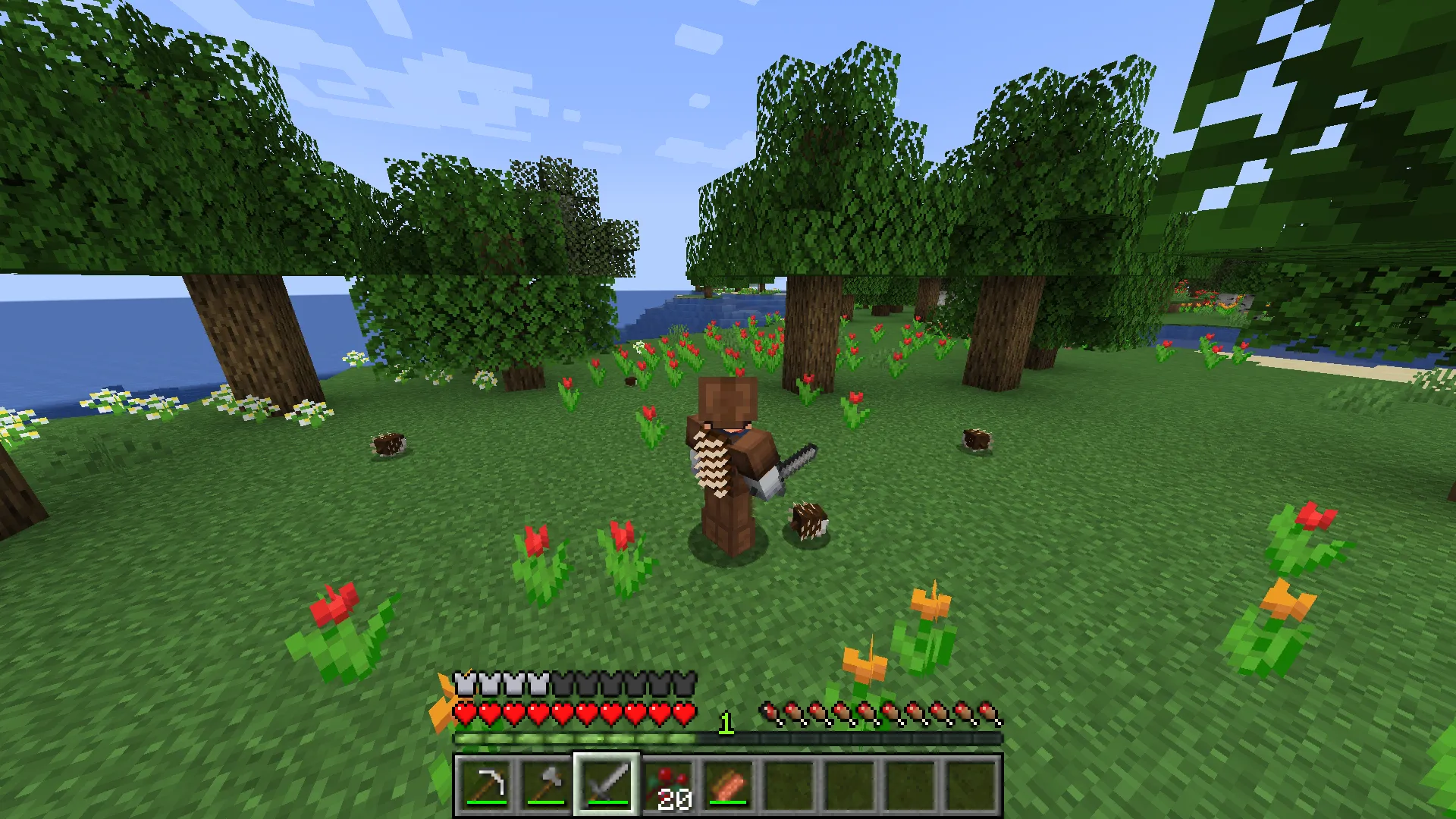Will's Hedgehogs!, Моды, Minecraft