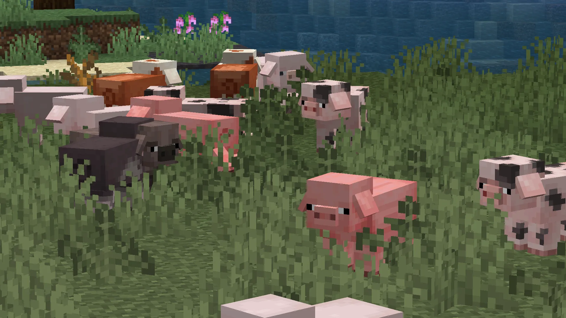 Dani's Livestock Revamp (JEMs), Текстуры, Minecraft