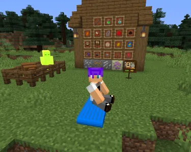 Eirini's, Моды, Minecraft