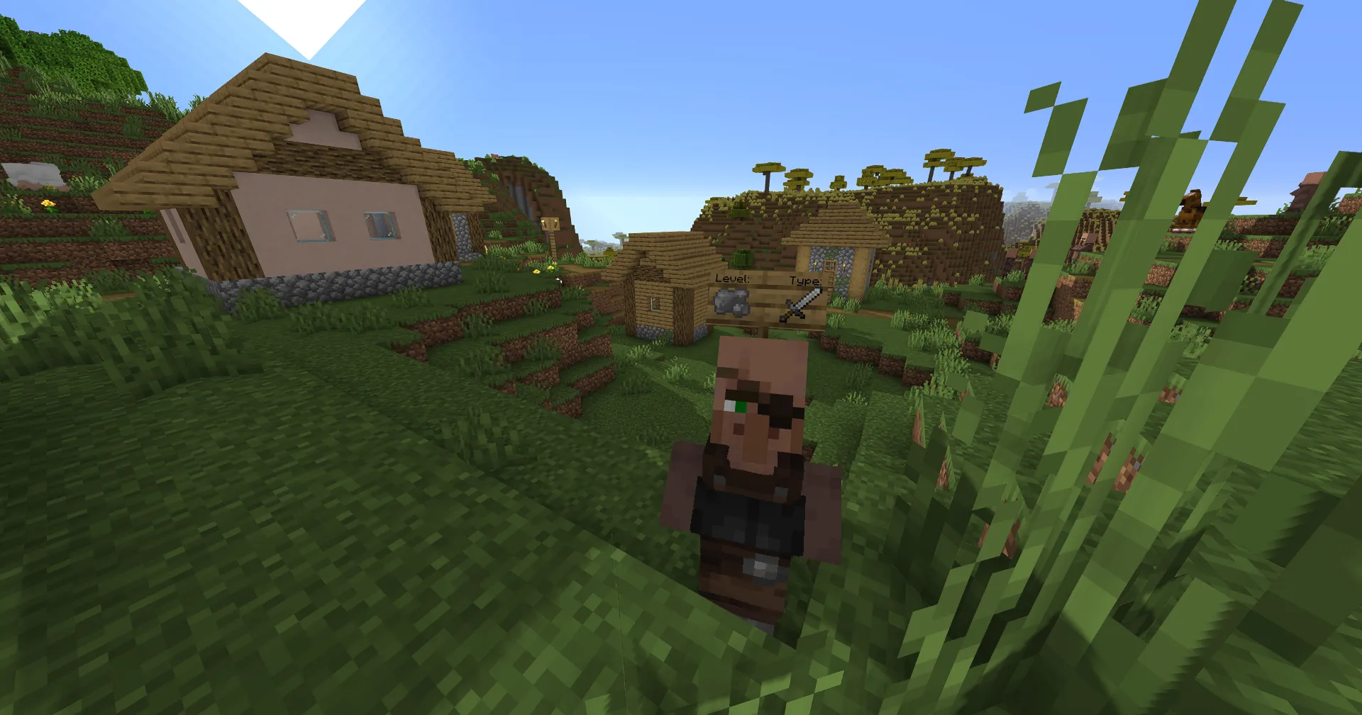 Shiny's Villager Stats, Текстуры, Minecraft