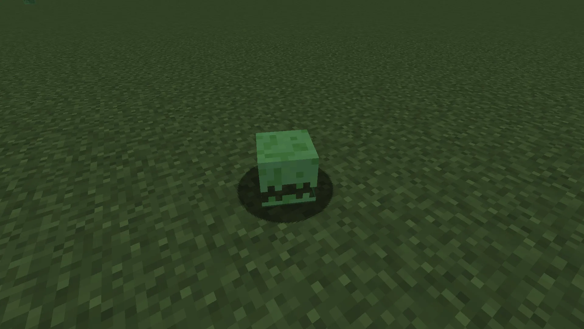 CaseArmors, Моды, Minecraft