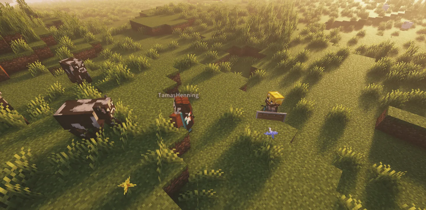 Annoying Villagers: Herobrine Invasion, Моды, Minecraft