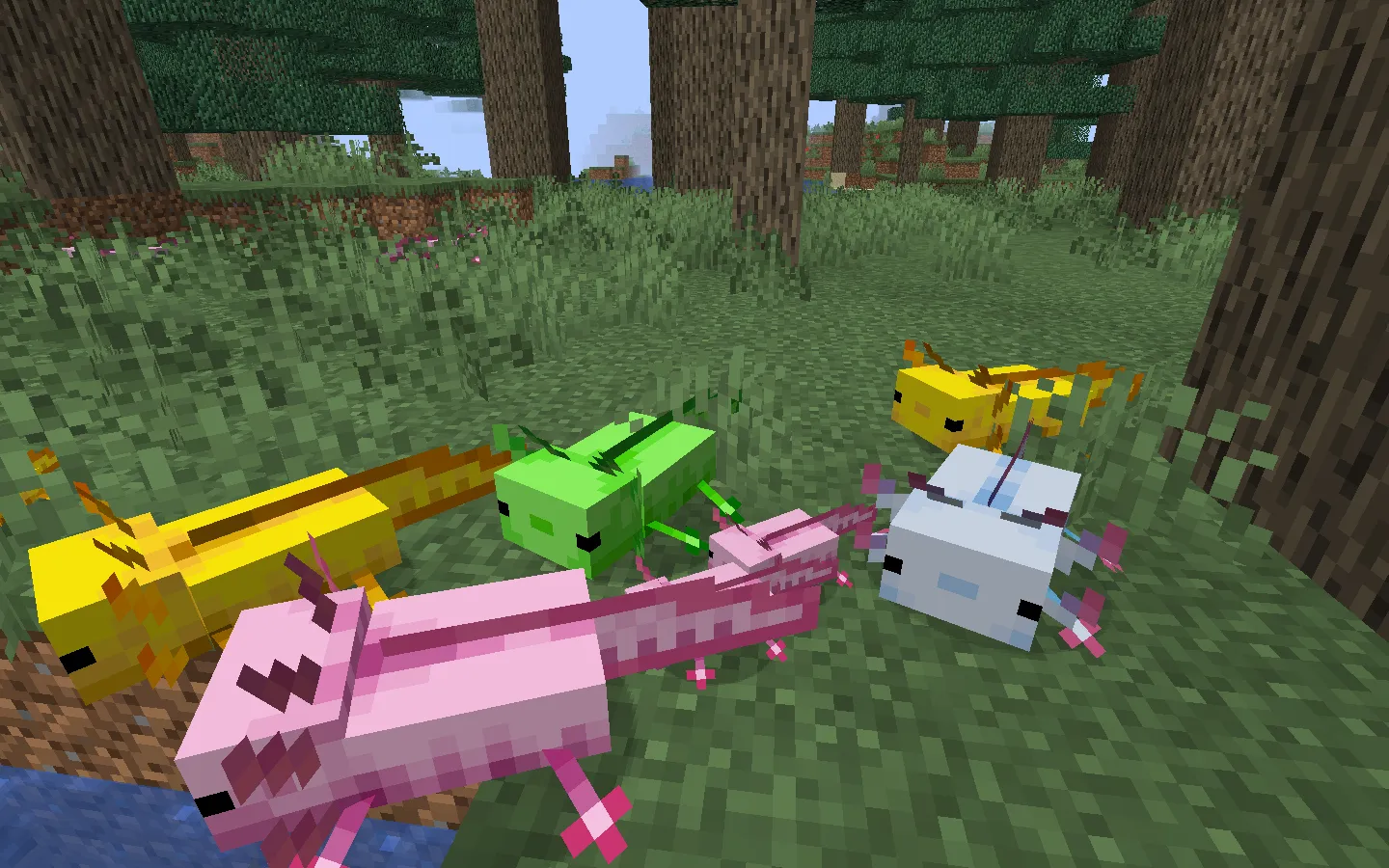 Panda and Axolotl Variants, Текстуры, Minecraft