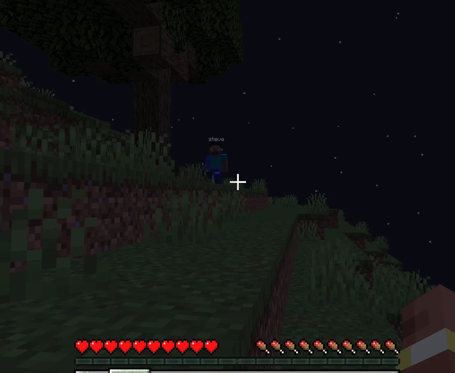 anagram.exe, Моды, Minecraft
