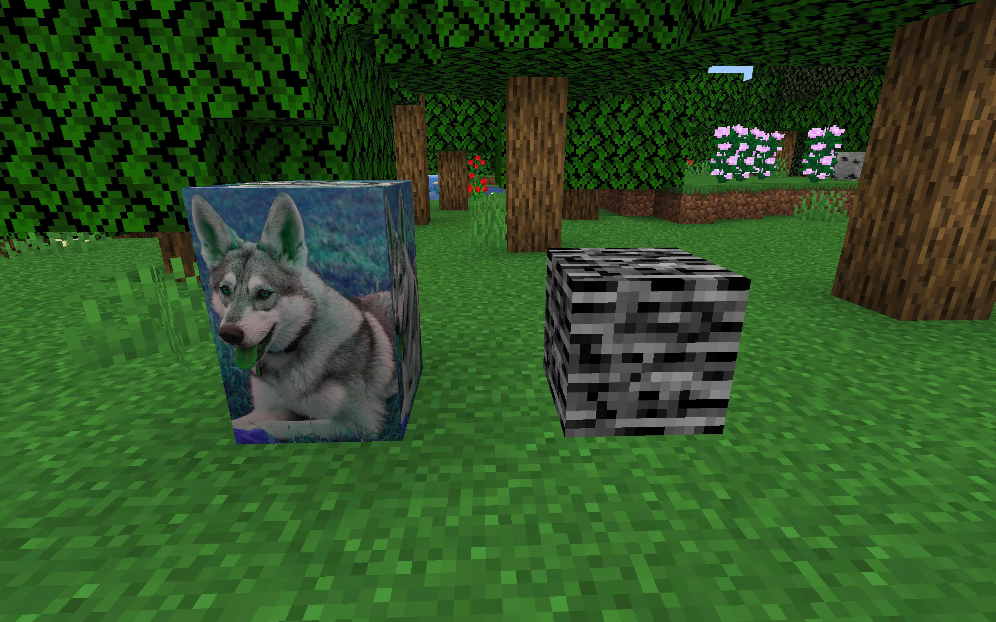project-838078, Моды, Minecraft