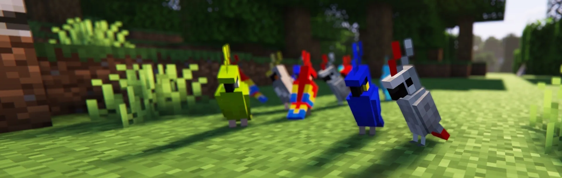 Apollo the Parrot, Моды, Minecraft