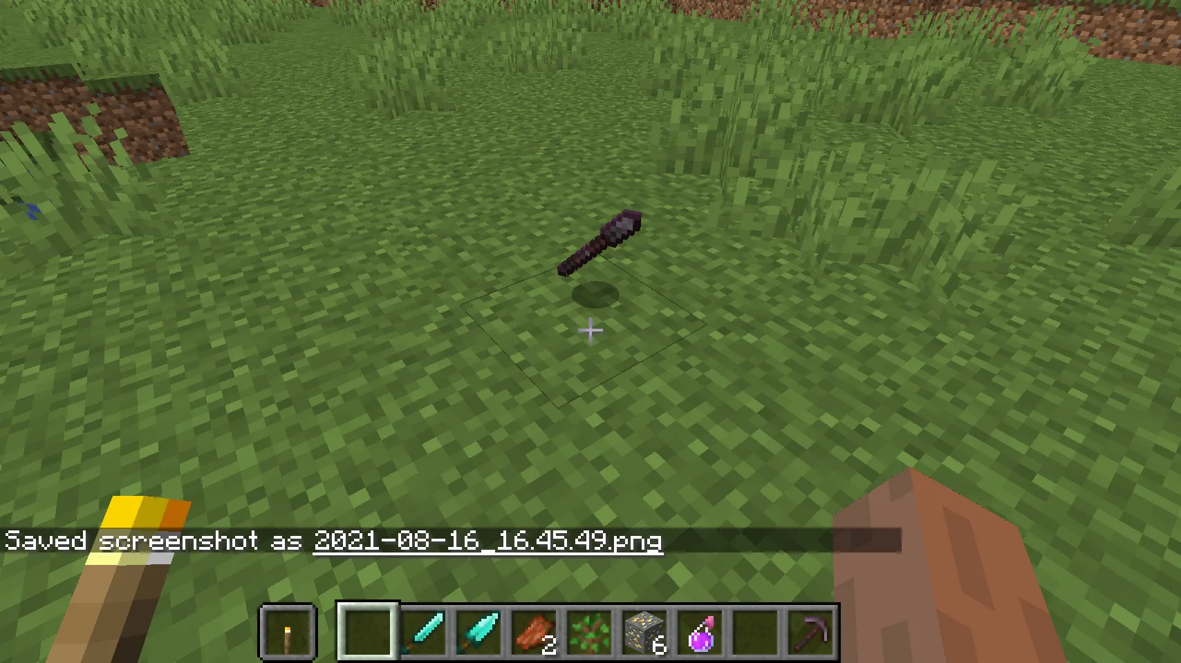 Assassin, Моды, Minecraft