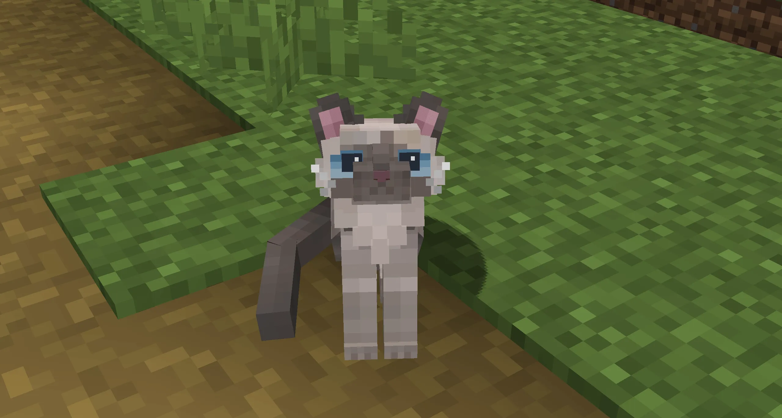 Refined Cats, Текстуры, Minecraft