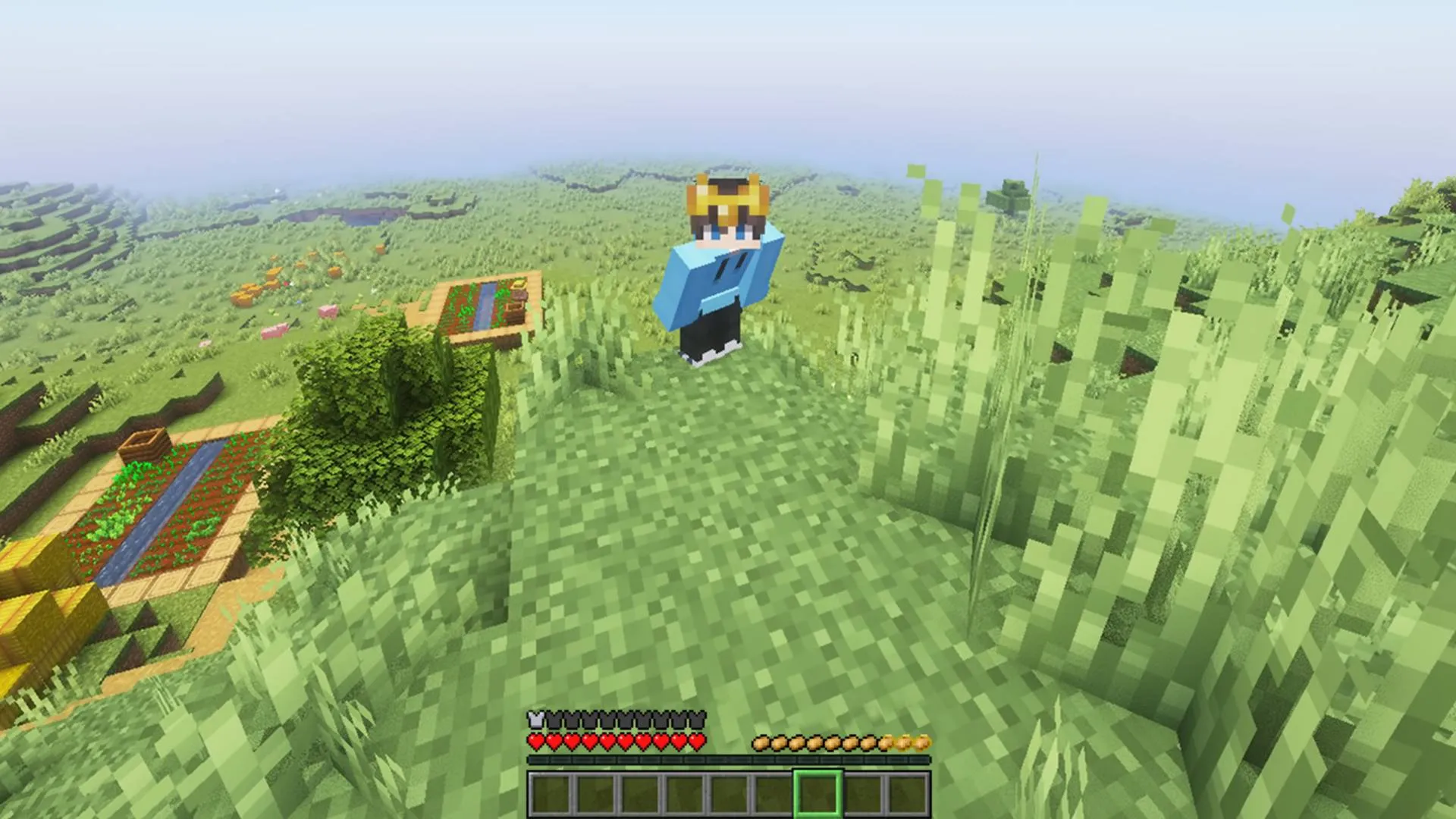 Baked Blocks: Potato+ — скриншот 5 (Текстуры, Minecraft)