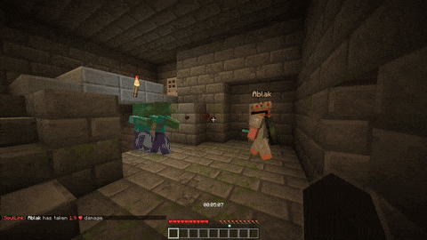 Soul Link Speedrun — скриншот 1 (Моды, Minecraft)