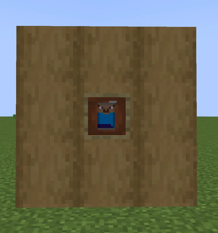What The Craft (tum), Моды, Minecraft