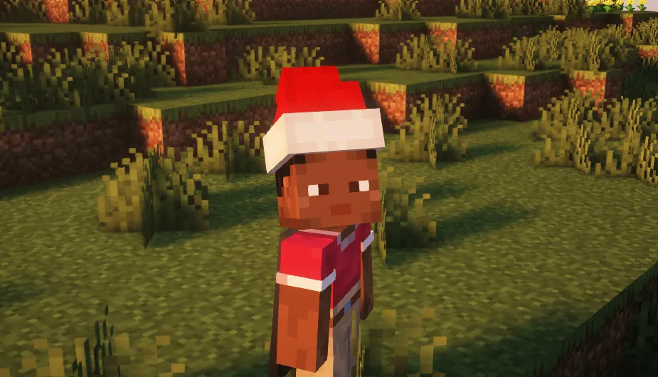 Christmas Hat 🎅🎄, Текстуры, Minecraft