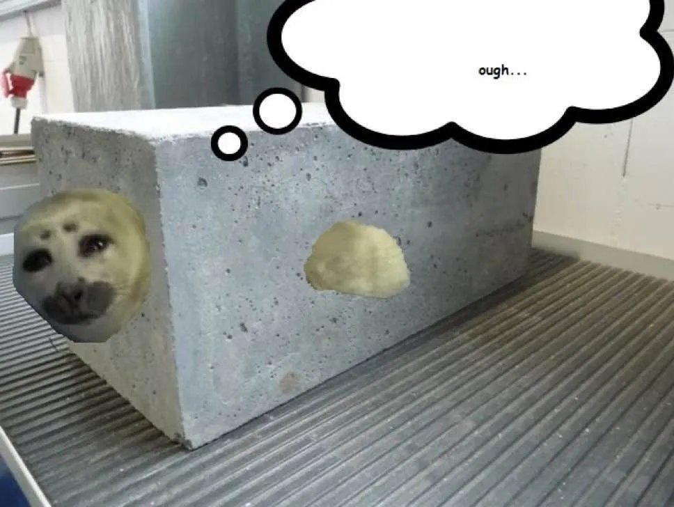 The Dulling - A Final Challenge, Моды, Minecraft