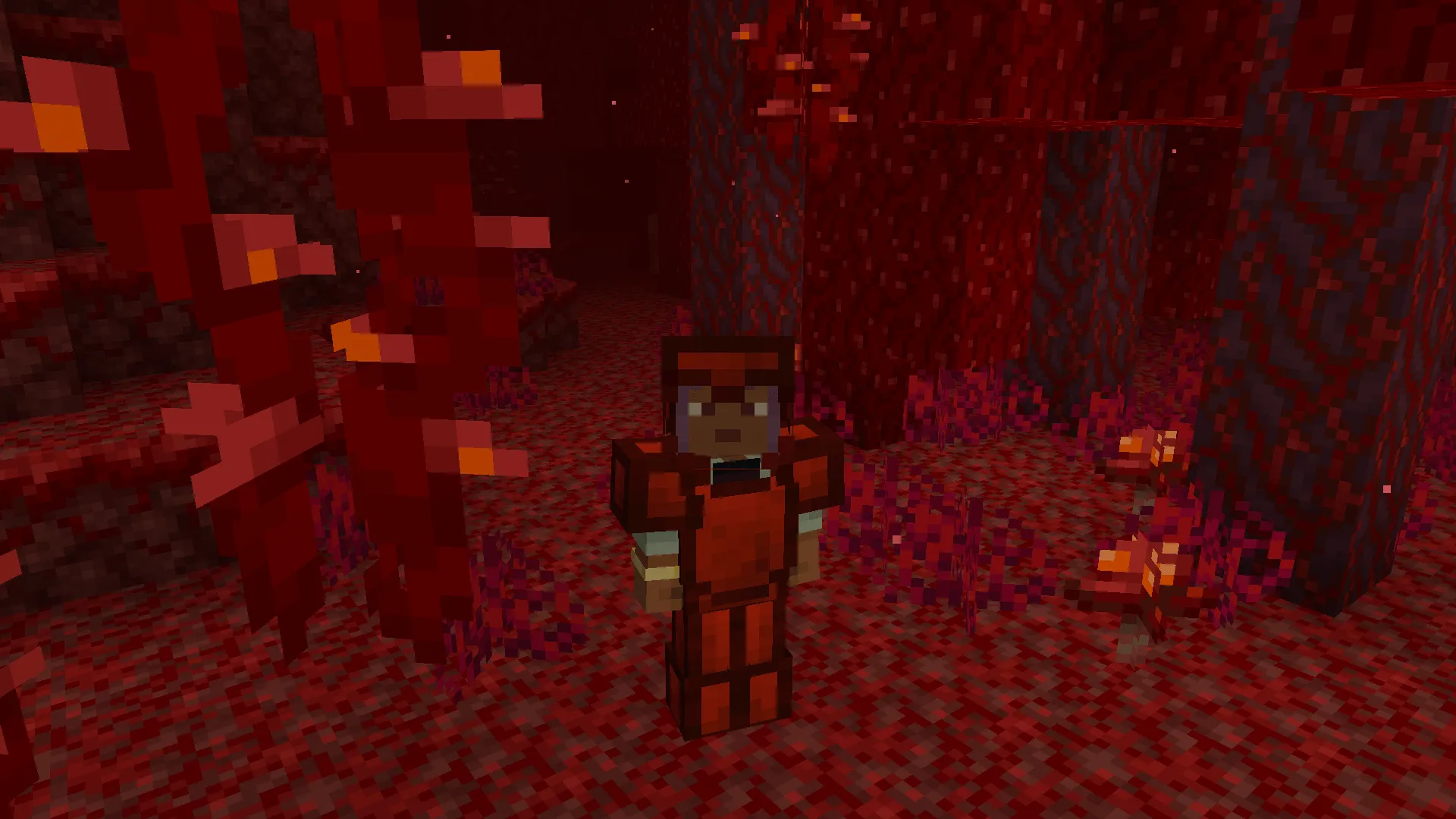 Depths Of The Nether — скриншот 3 (Моды, Minecraft)