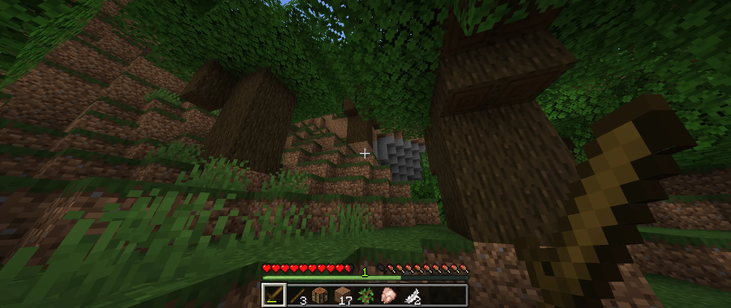 Borders Be Gone, Текстуры, Minecraft