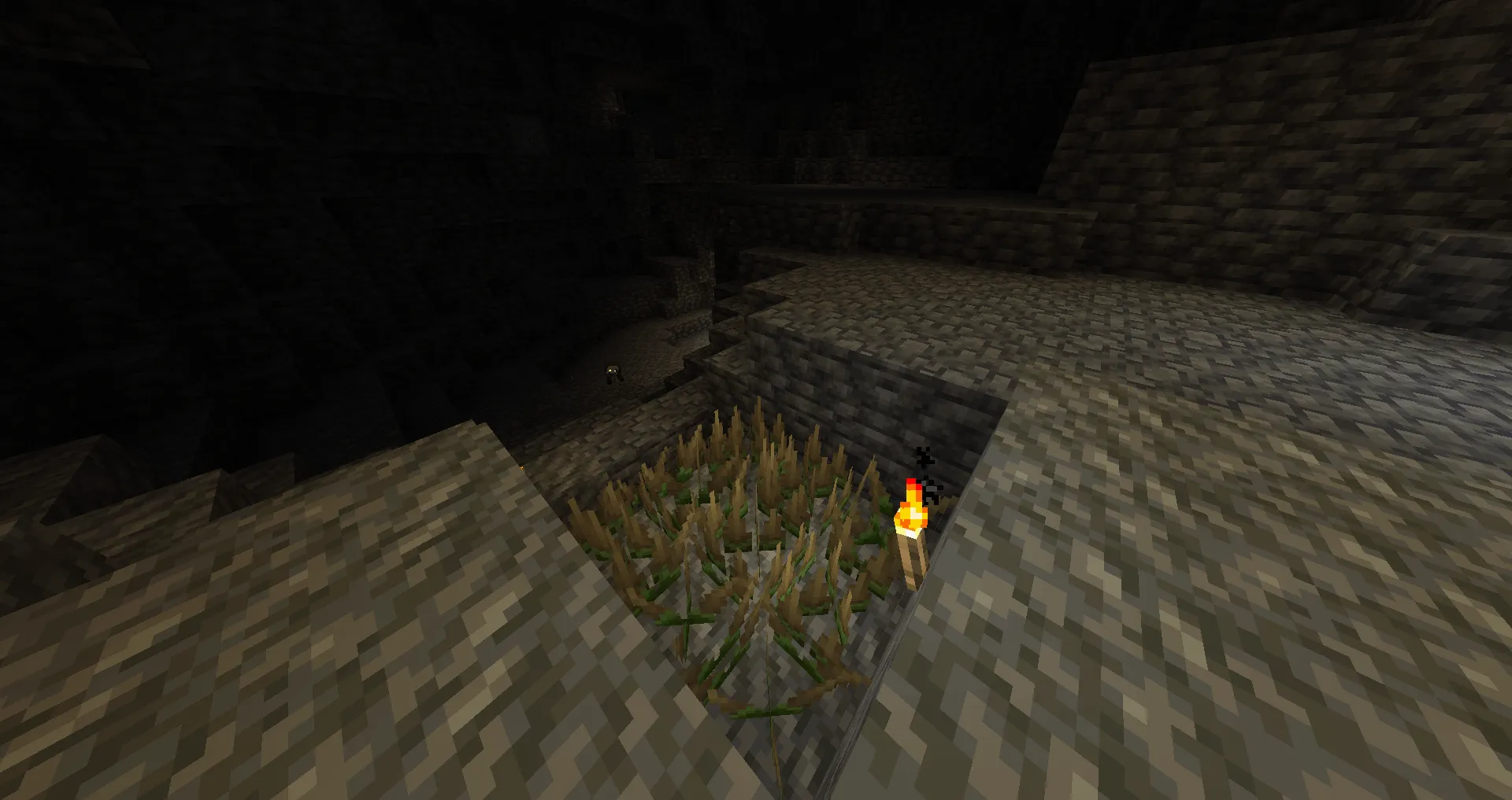 Caverns of Chaos, Моды, Minecraft
