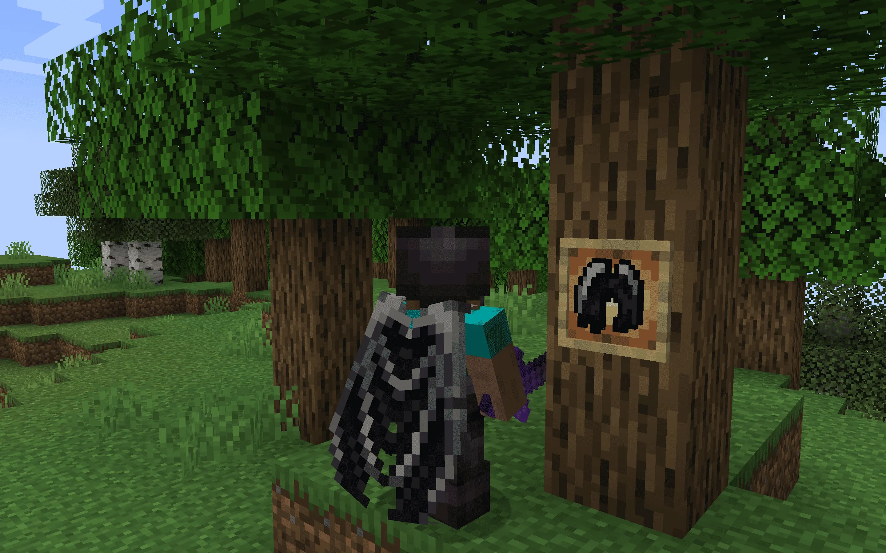 Ender Dragon Elytra - Better Wings, Текстуры, Minecraft