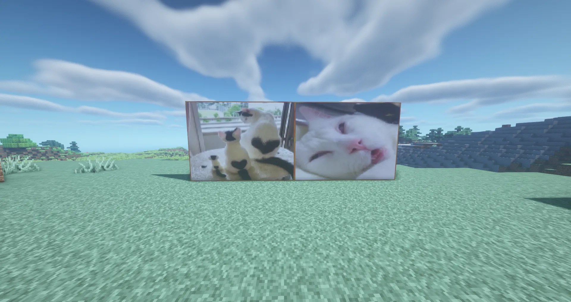 Cat Design Paintings — скриншот 2 (Текстуры, Minecraft)