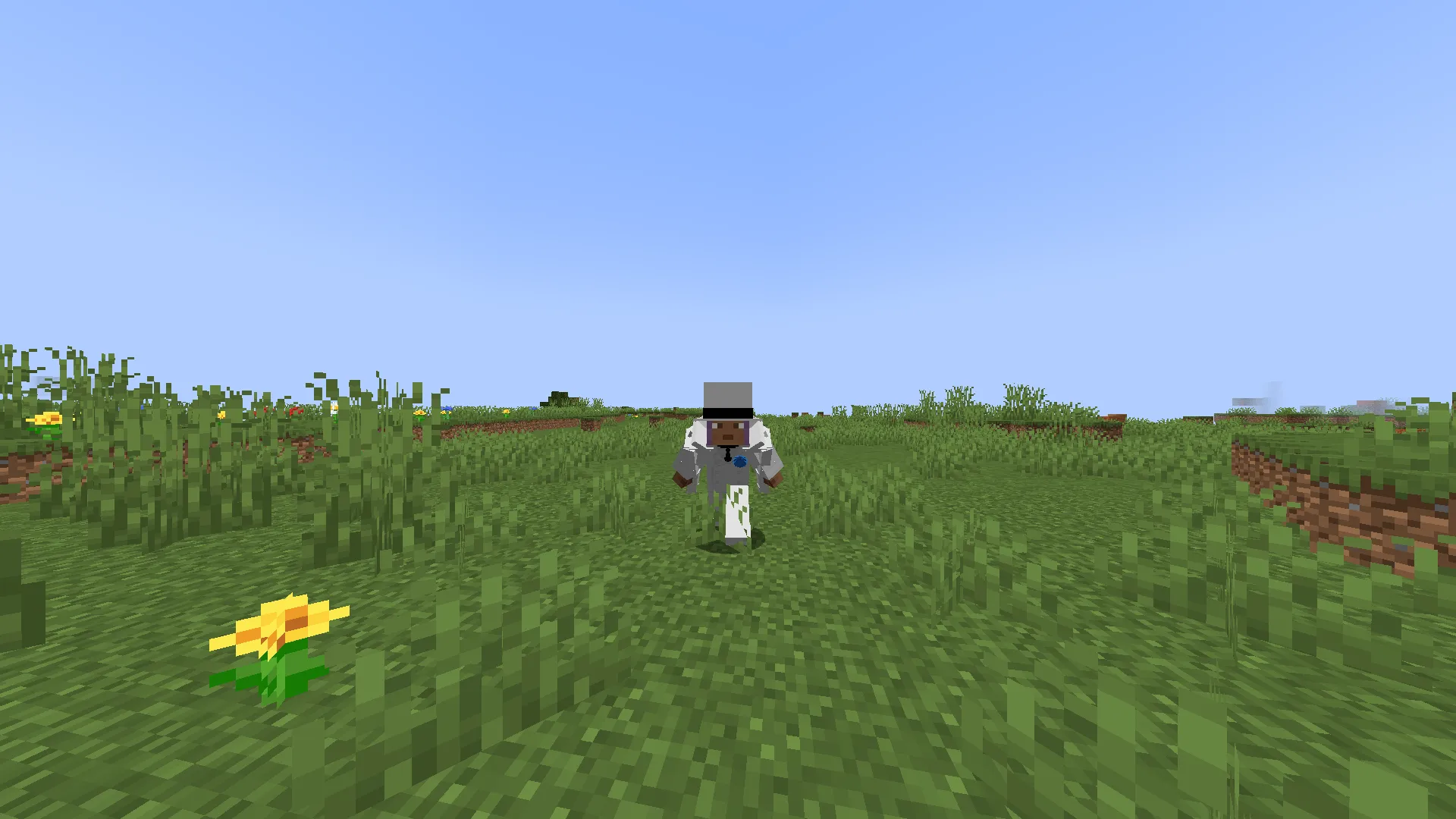 HakminePiece, Моды, Minecraft