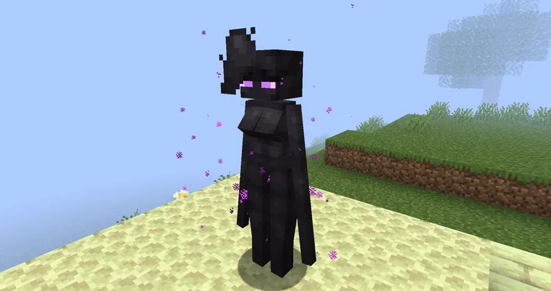 EnderWoman, Текстуры, Minecraft