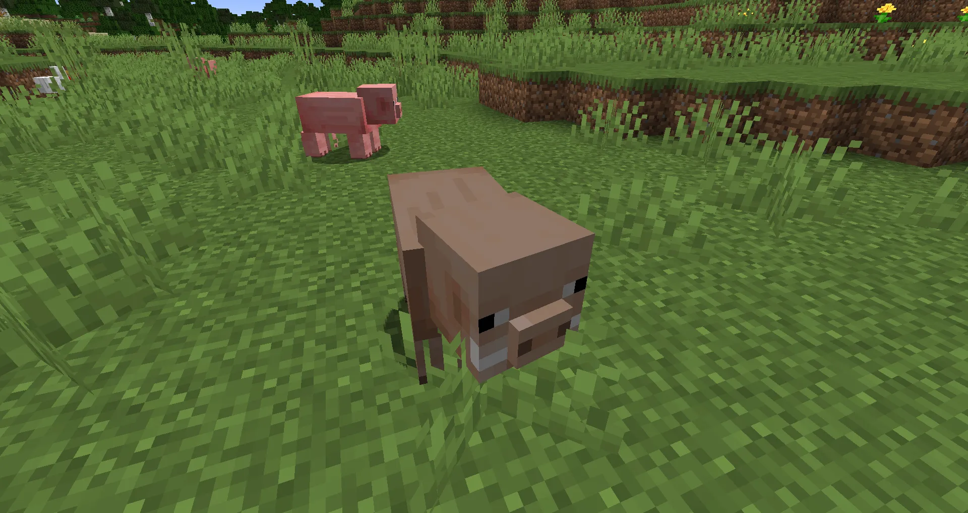 End Expansion Dragons Edition — скриншот 9 (Моды, Minecraft)