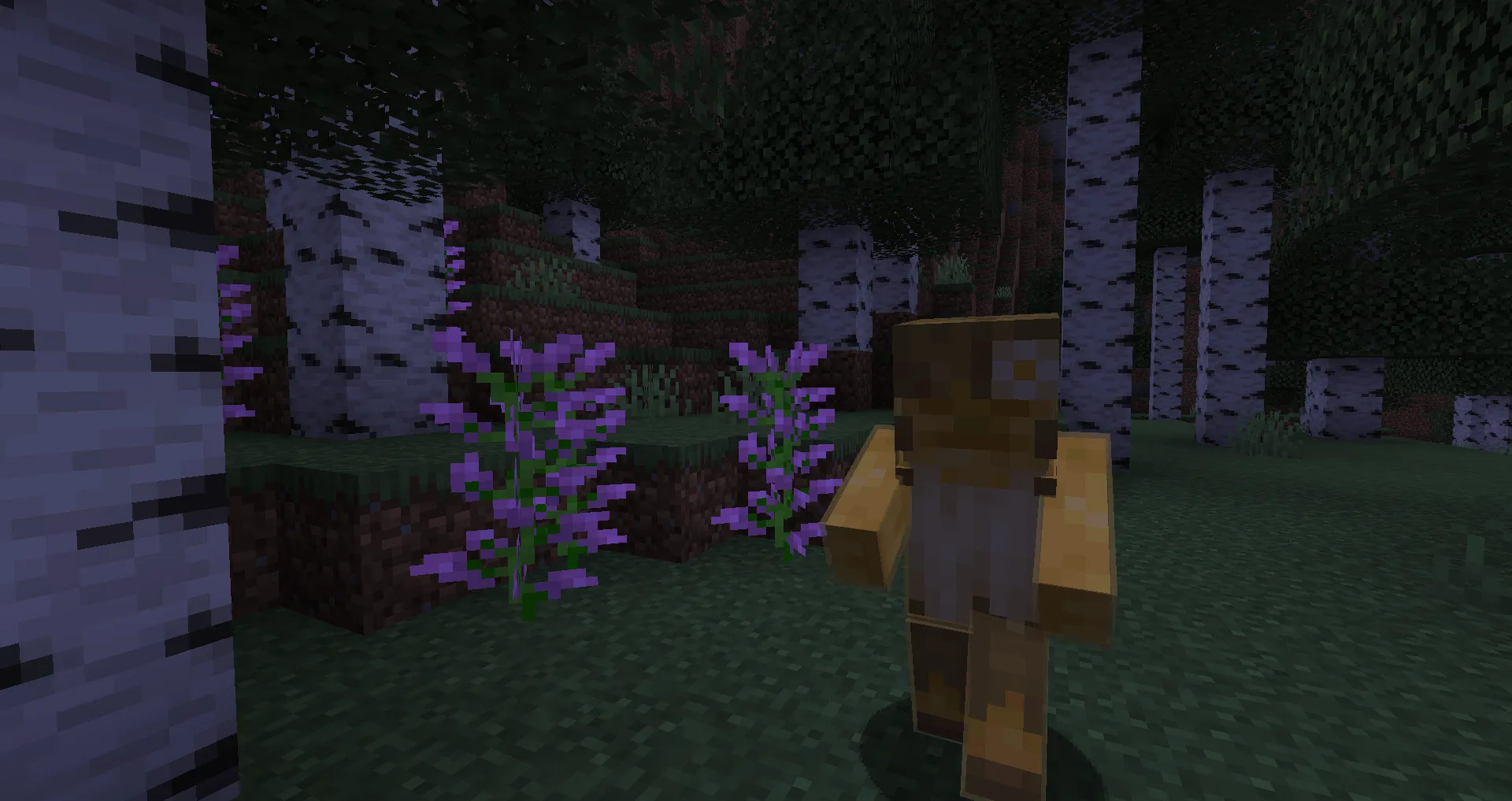 Hominid, Моды, Minecraft
