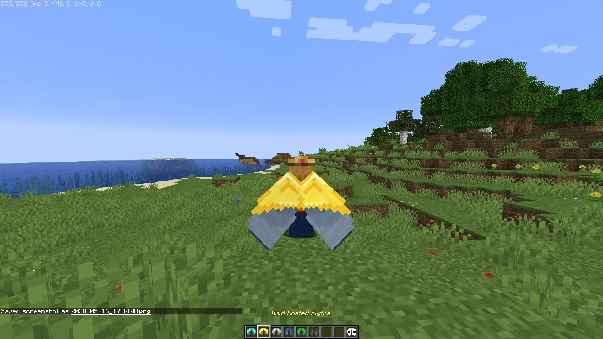 Cosmetic Elytra, Текстуры, Minecraft
