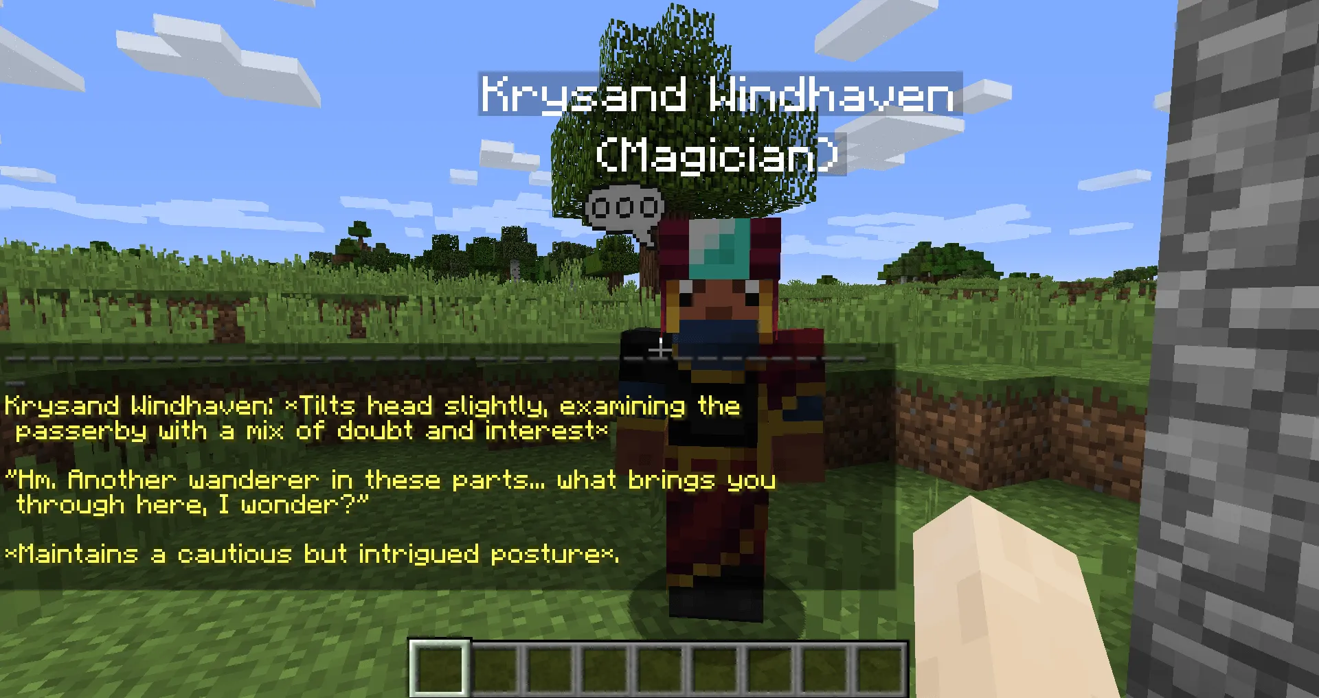 MetaNPC — скриншот 12 (Моды, Minecraft)
