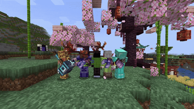 Tools On My Back (TOMB), Моды, Minecraft