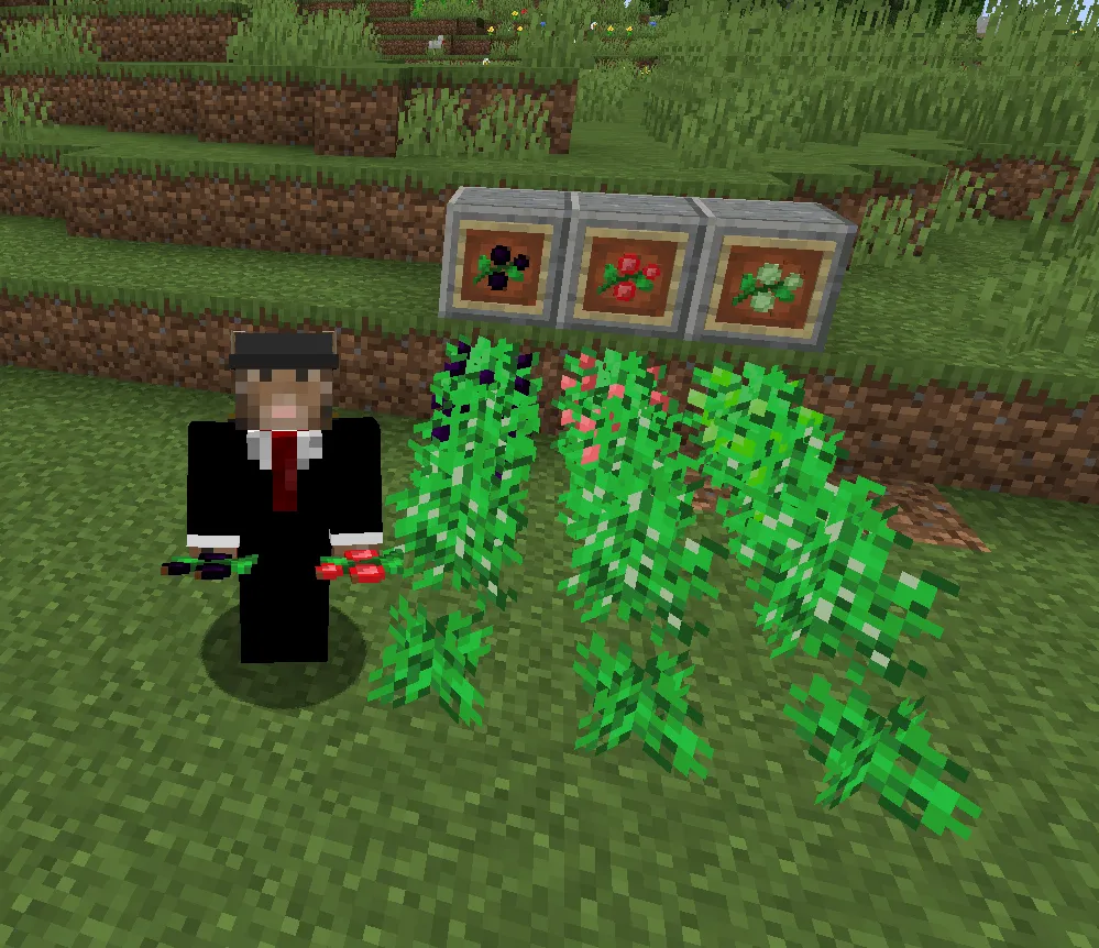 Goat's Fruit, Моды, Minecraft