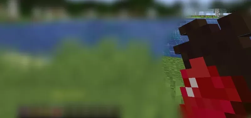 Nether Support Foods, Моды, Minecraft