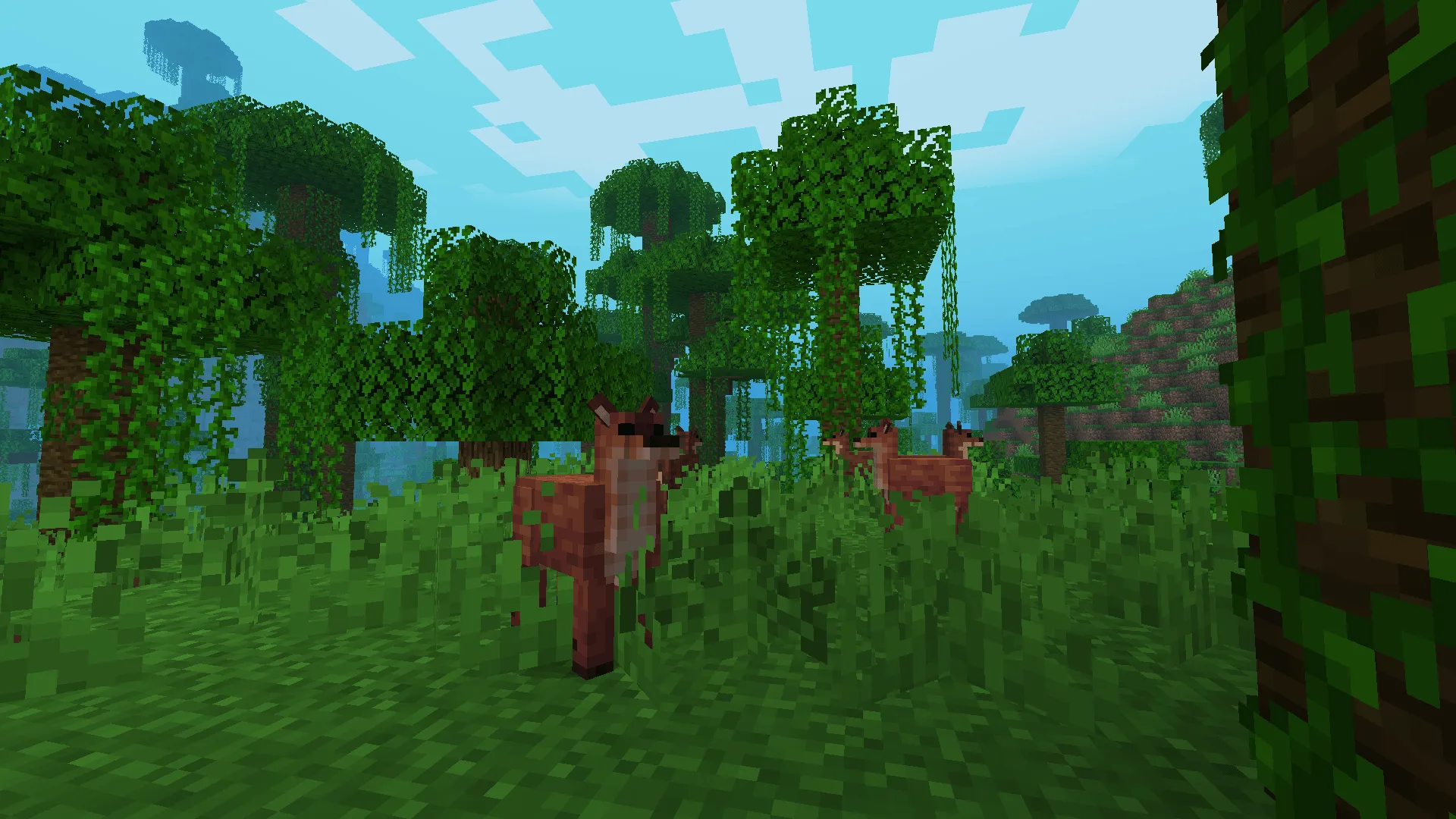 Brazilian Expansion, Моды, Minecraft