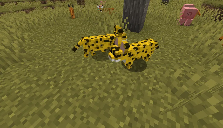 some cats and wild cats, Текстуры, Minecraft