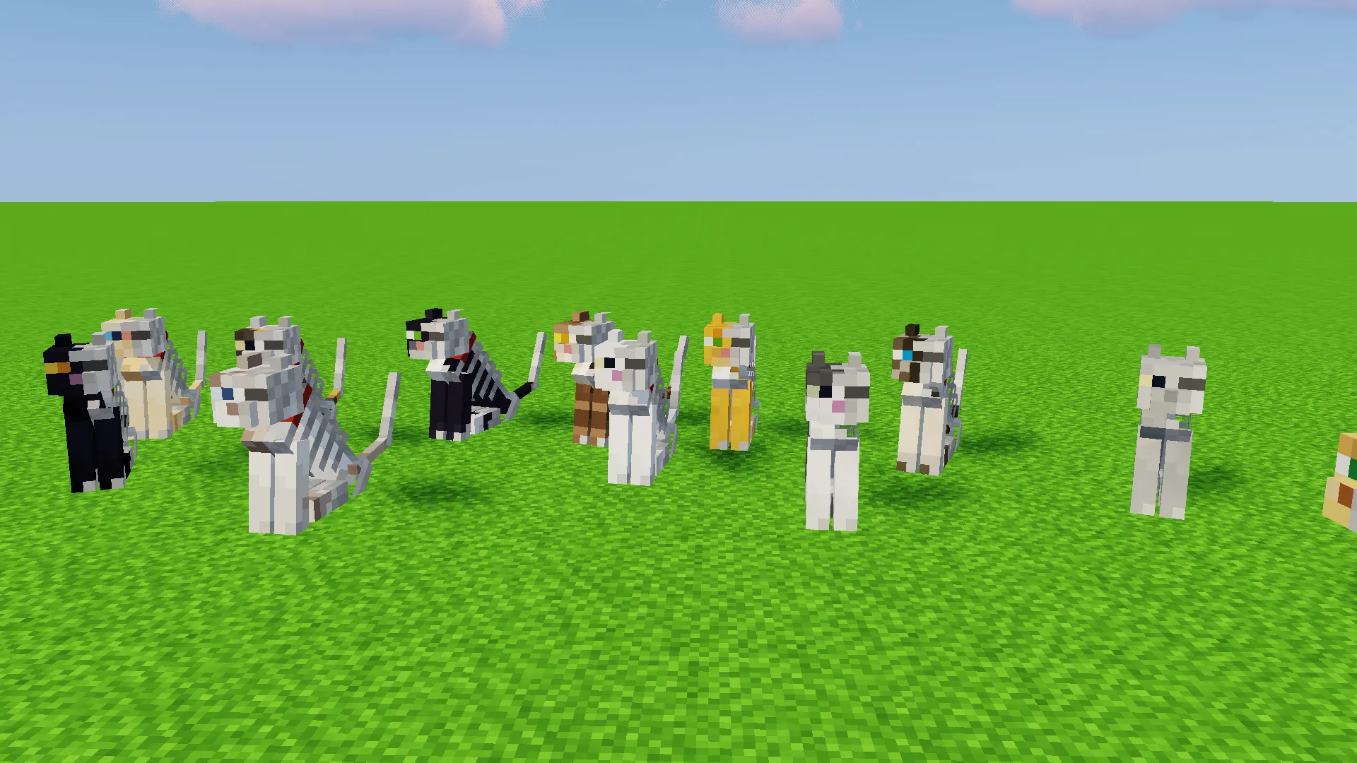 Schrodinger's cats, Текстуры, Minecraft