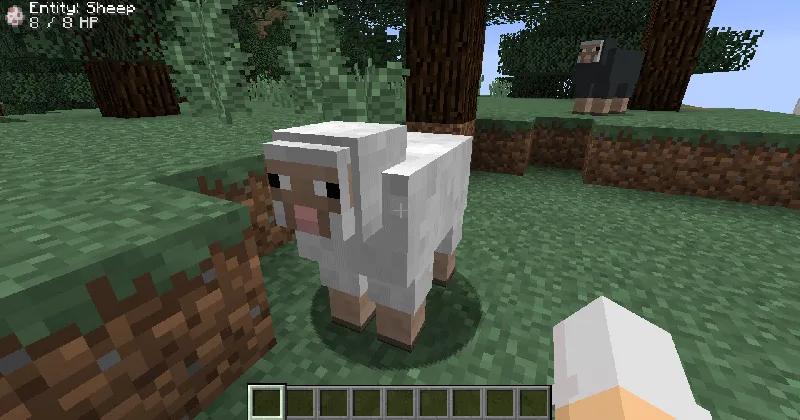Block Display, Моды, Minecraft