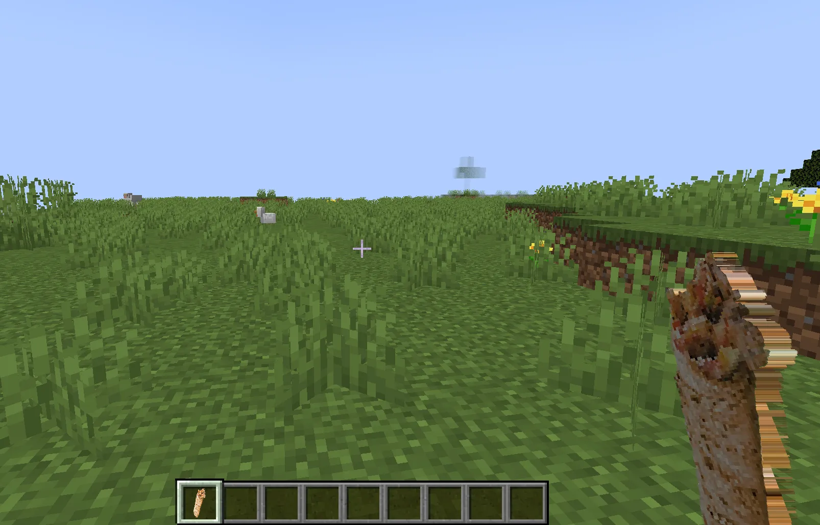 The Turkish Meals, Моды, Minecraft