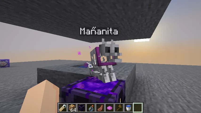 revived pet — скриншот 1 (Текстуры, Minecraft)