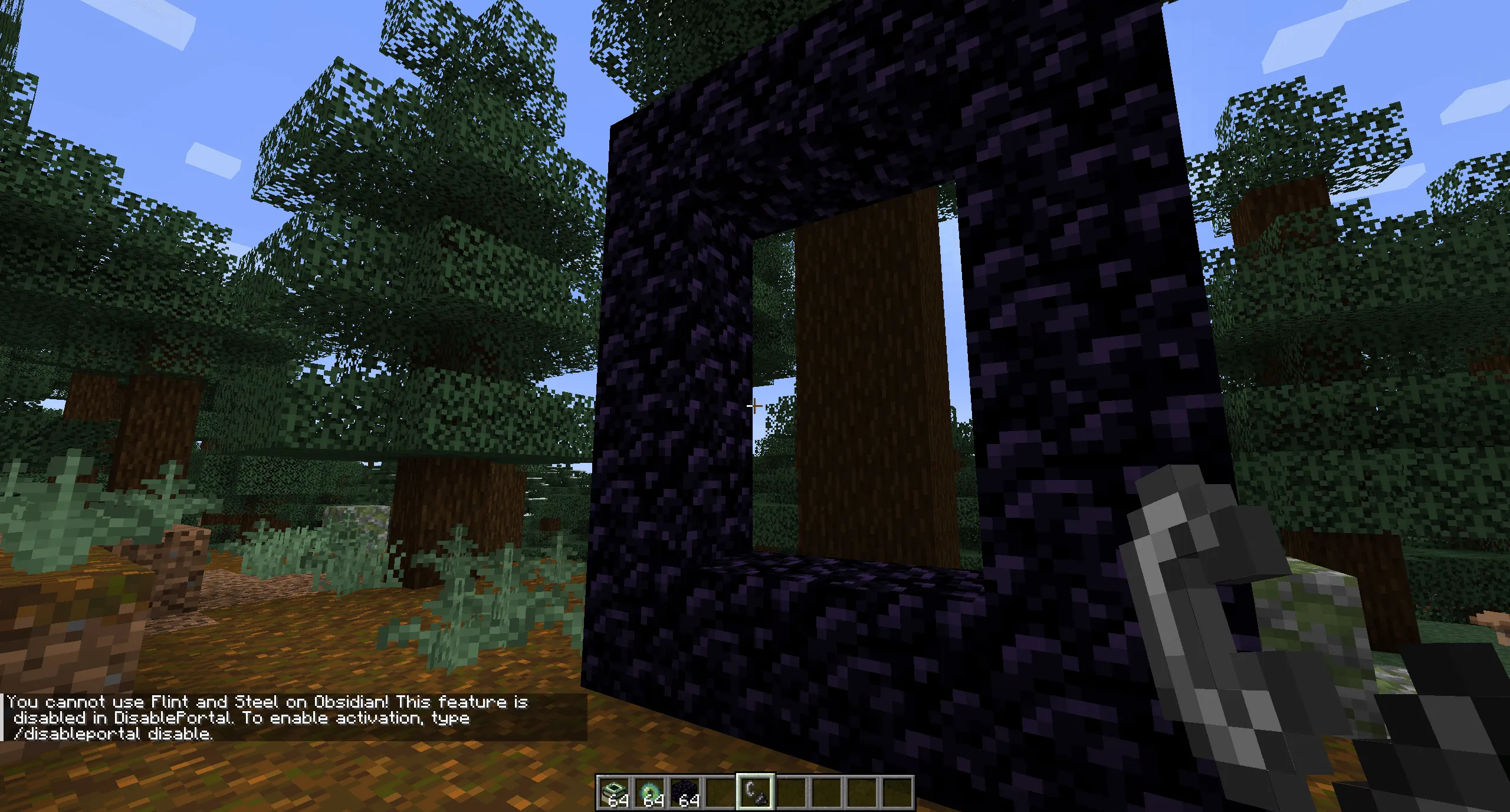 DisablePortal, Моды, Minecraft