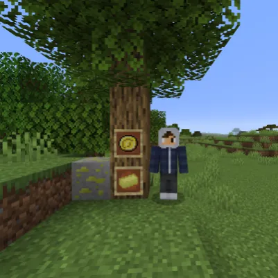 My Coin, Моды, Minecraft