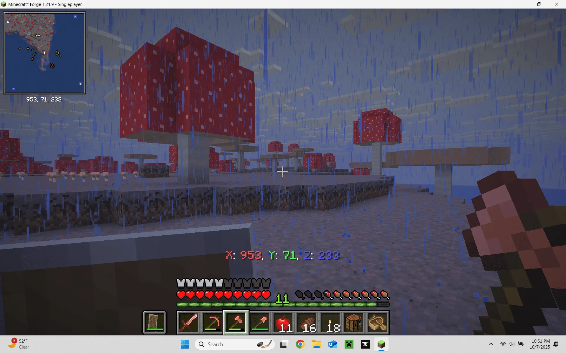 starter survival world, Карты, Minecraft