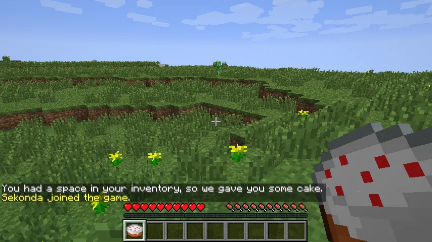 WelcomeCake — скриншот 1 (Плагины, Minecraft)