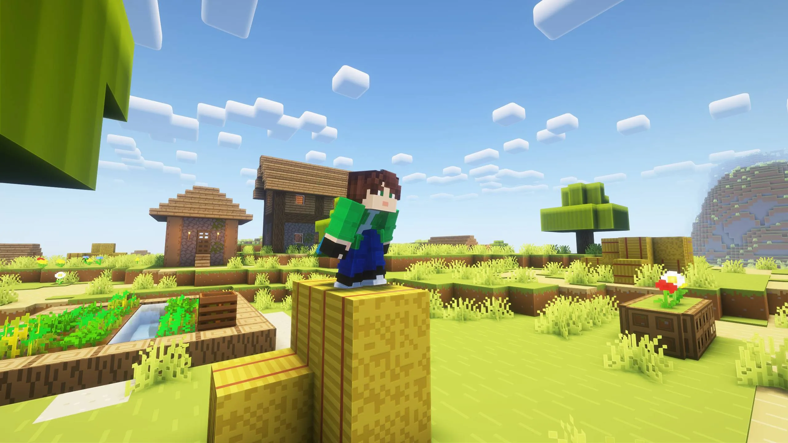 Can't Go Down, Моды, Minecraft