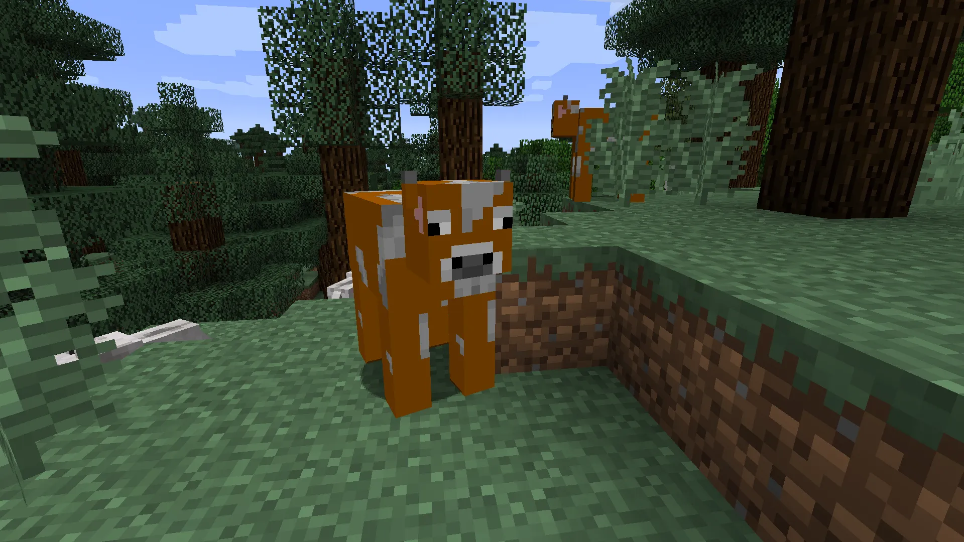 Butcher Nish, Моды, Minecraft