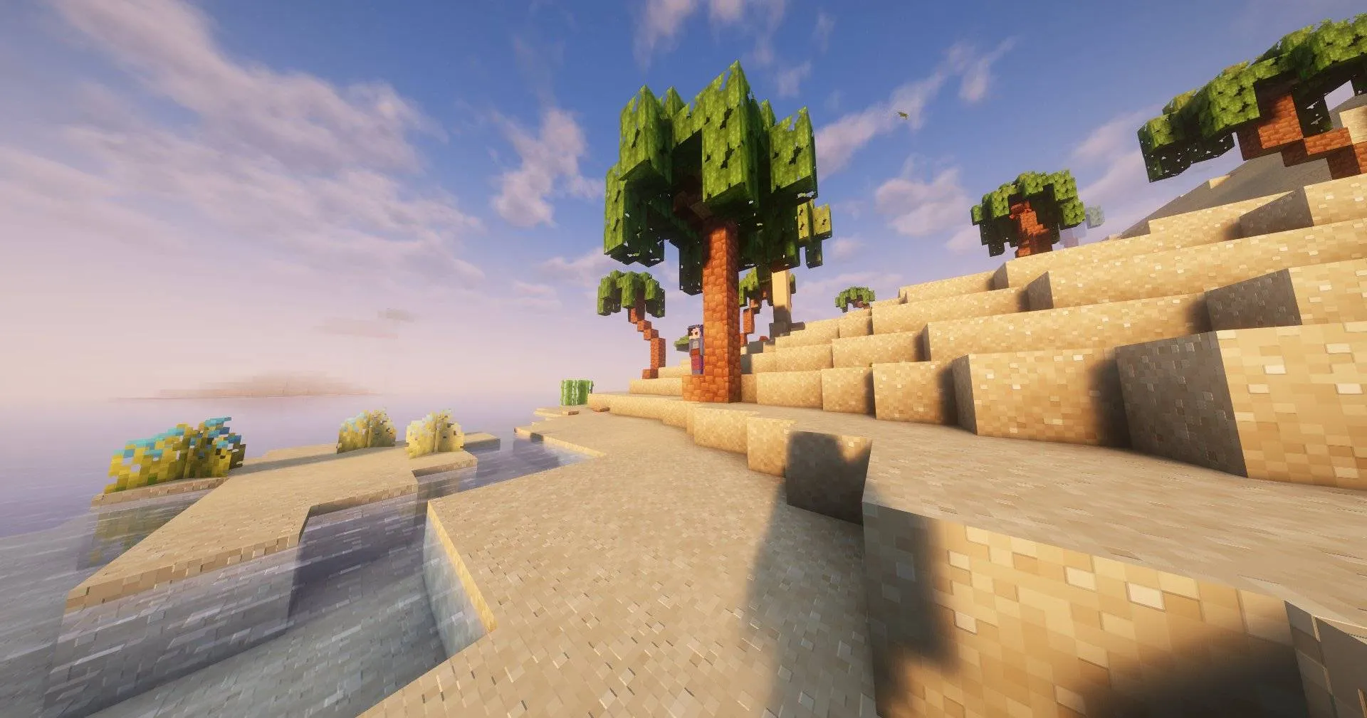 New World The Adventure Awaits, Модпаки, Minecraft