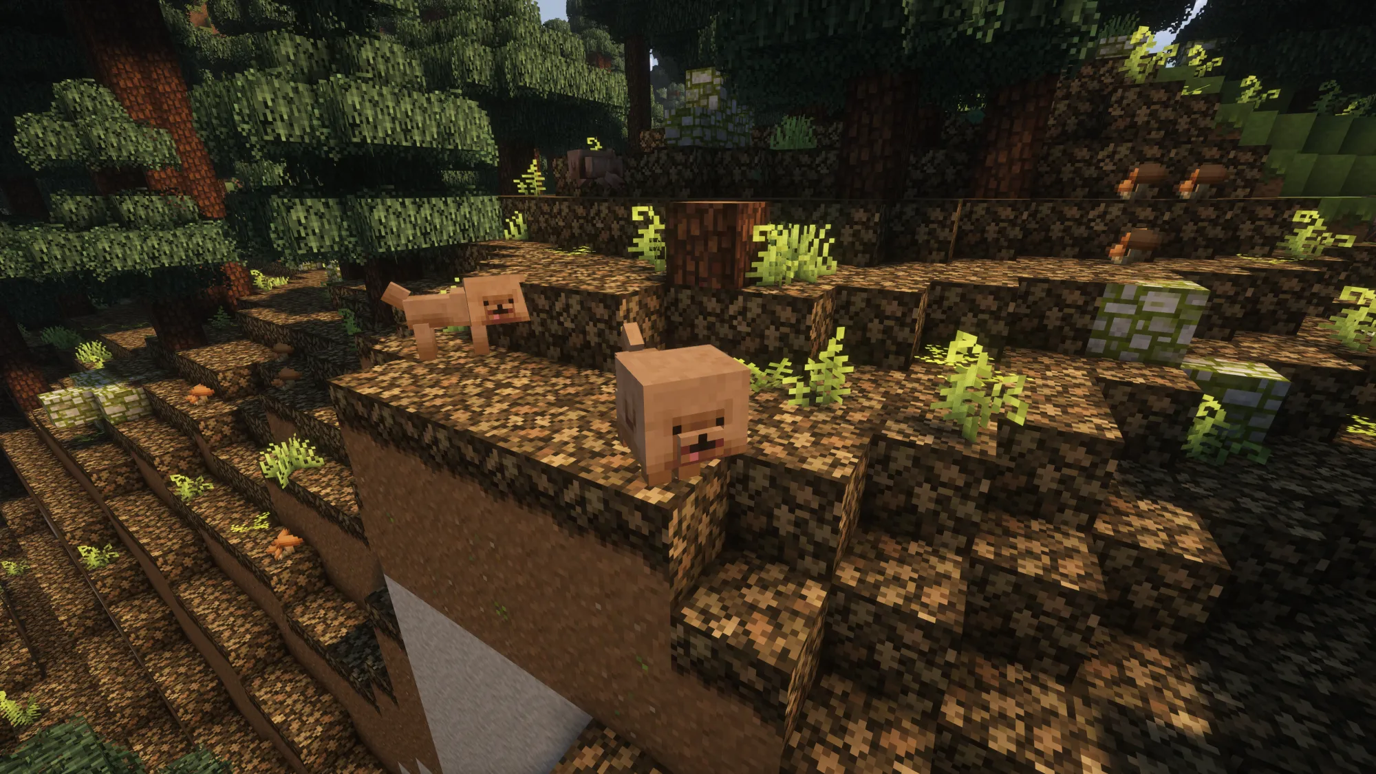 Wolf To Bichon dog — скриншот 2 (Текстуры, Minecraft)