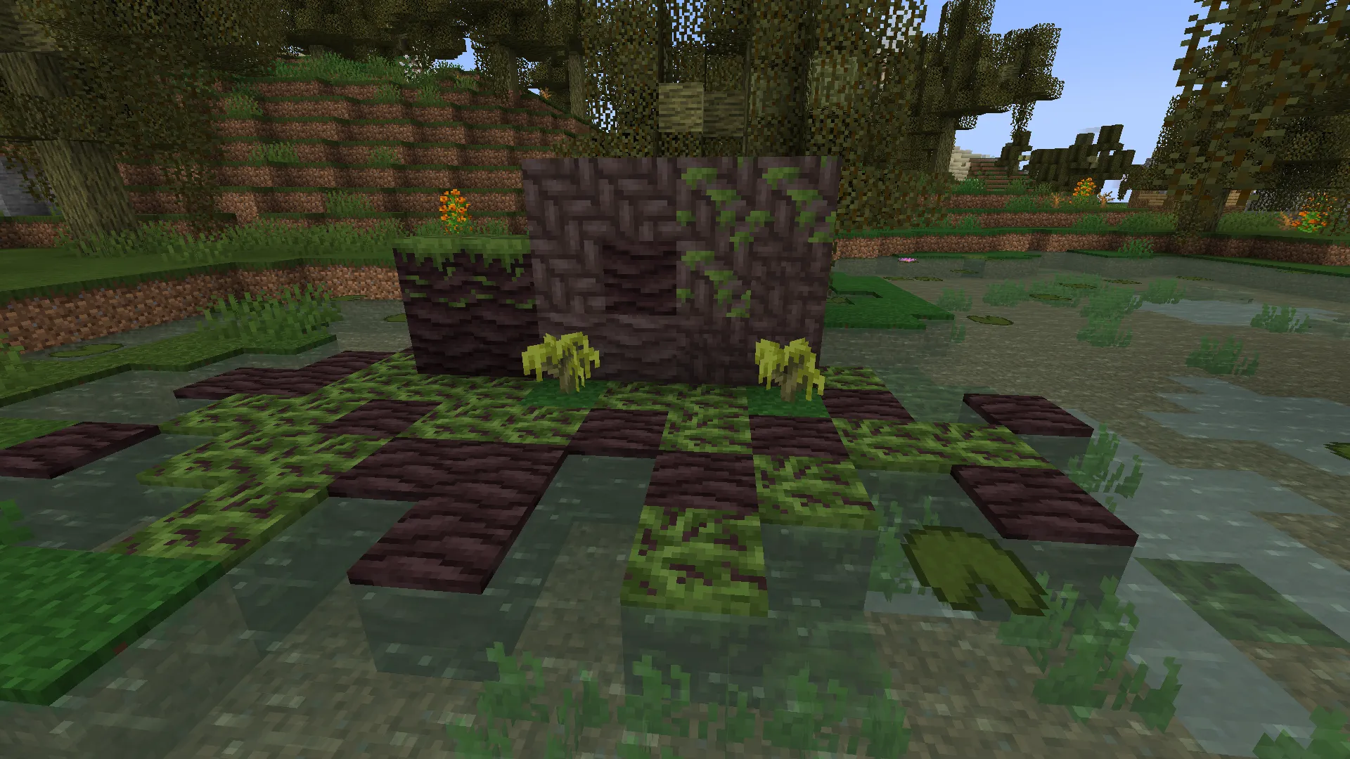 Biome Makeover Makeover, Текстуры, Minecraft