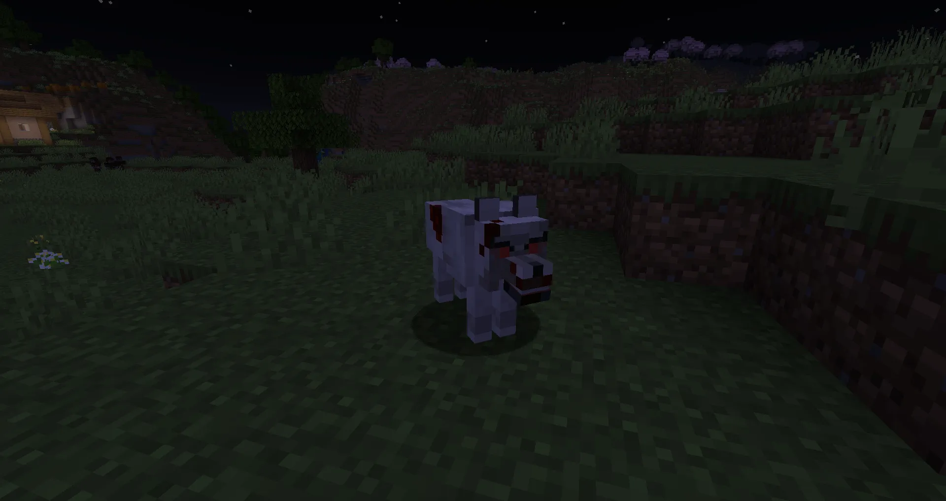 The Dark Plague, Моды, Minecraft